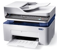 МФУ лазерное черно-белое Xerox WorkCentre 3025NI 100031