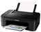 МФУ струйное цветное Canon PIXMA TS3340 100122